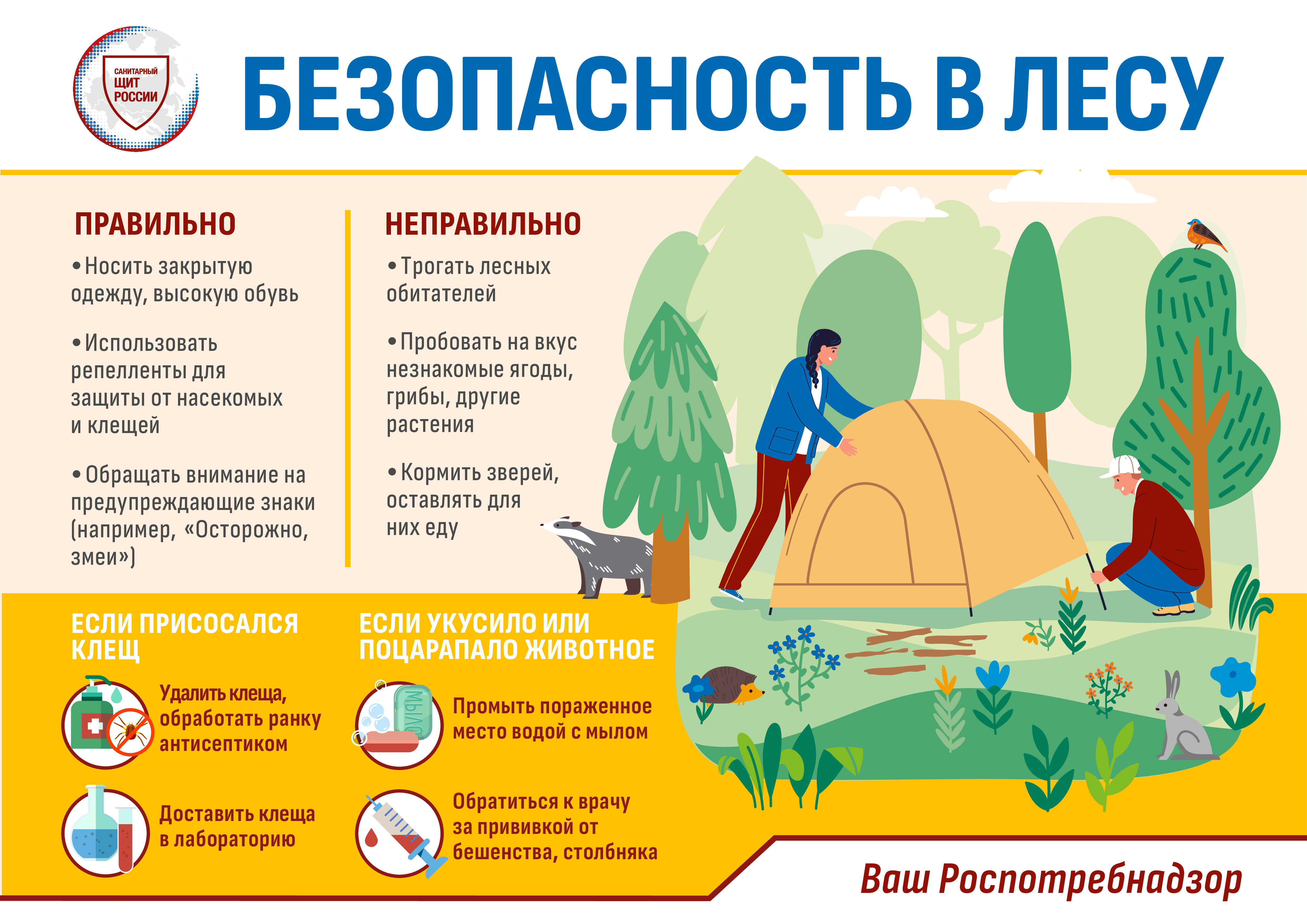 Безопасность в лесу.